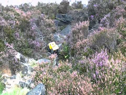 Watch RC Video: 'RCCBASHER - Longwood RC Rockcrawling01.wmv'