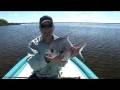 videos de Fly Fishing in Cancun, Mexico