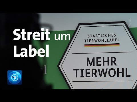 Streit um geplantes freiwilliges bundesweites Tierwohl-Label