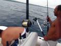 videos de erez mazon fishing jack