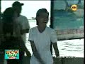wow mali - shark viewing