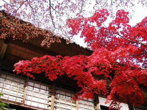 Nujabes / Voice of Autumn