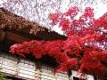 videos de Nujabes - Garden lounge [ HQ ]