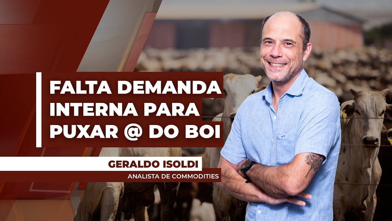 Sem demanda interna correspondendo, preços da arroba devem ter dificuldades para subir, diz analista