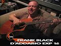 D'Addario Exp16