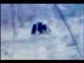 Michigan Dogman Gable Film Enhancement