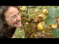 ORF Weltjornal vom 25.11.2009 Öko Dorf