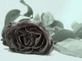 Kuzey Rüzgar? dizi muzi?i nas?l yar diyeyim Kuzey Rüzgar? dizi muzi?i nas?l yar diyeyim