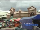 vive oaxaca tardes y noches de fiesta