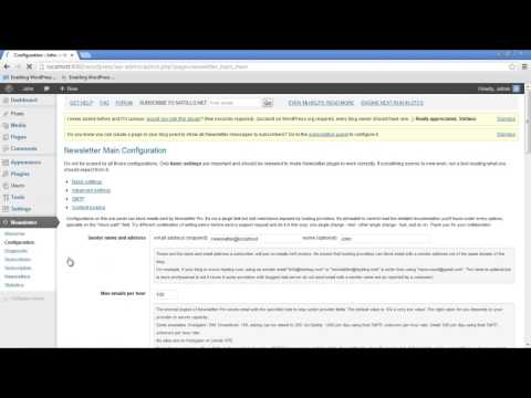 how to newsletter wordpress