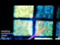 Ver Video