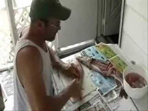 how to remove northern pike y bones