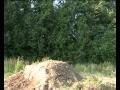 videos de BMX Trick's