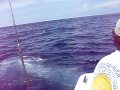 Deep sea fishing off the coast of Costa Rica.  We pulled in a 150lb sail fish