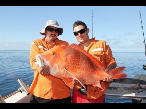Great charters mackay  image here, check it out