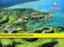 Need a Big Island Hawaii Hotel? Need a Big Island Hawaii Hotel?