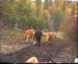 YILDIRIM H�SEY�N YILDIRIM Geldide Ge�ti Klip