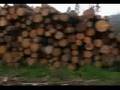 The High Tatras - Hrebienok - Stary Smokovec