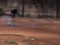 Nitro Monster Trucks