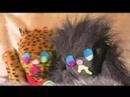 Kiiiiiii - \"Gold & Silver\" Zoo Trailer