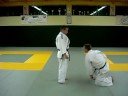 Ippon Seoi Nage