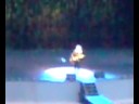 , Live At Dalhalla 2008