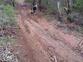 YZ250F Hill Climb YZ250F Hill Climb