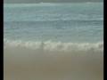 videos de Cantinho da Baia - Baleal