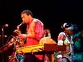femi kuti