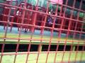 Playcente
