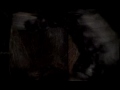 Cradle Of Filth - No time to cry High Quality Cradle Of Filth - No time to cry High Quality
