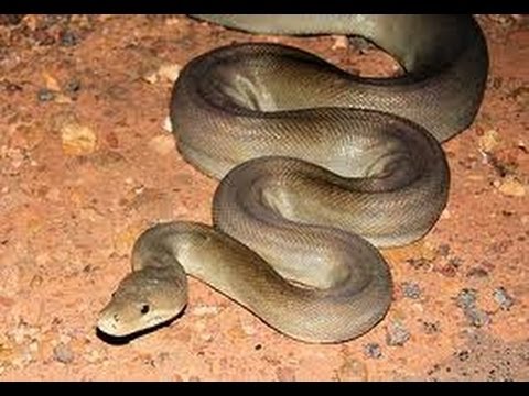 Halchal - For More News Visit Facebook :http://www.facebook.com/tv5newschannel website: http://www.tv5news.in Youtube: http://www.youtube.com/user/TV5newschannel Twitt...