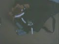 siam_shade-HIDEKI CHANNEL_01-01