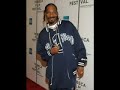 2pac Snoop Dog 50cent Ludacris The Game Ja Rule Lloyd Bank Dmx BIGDNZ Remix