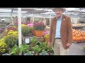 Fall Veggie Tips