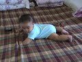 Lanting 5.5 month
