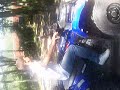 mezio verao 2008