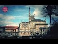 ver trabalho Visita à Mata Nacional do Bussaco