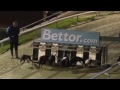 Click here to watch this video BETTOR.com PETERBOROUGH Puppy Derby FINAL 2012 - Part 2 of 2