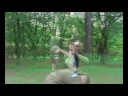 タイCHI FIGHTING www.raw-combat.com