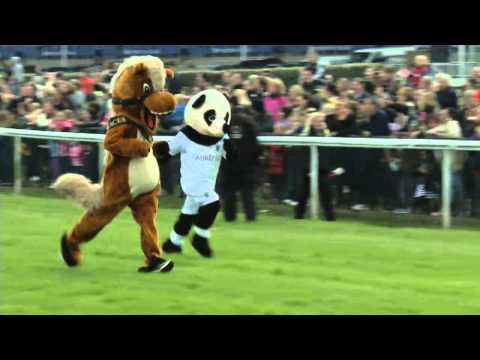 grand national 2012 grand national 2012