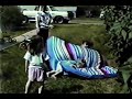 Tropical Financial Credit Union Provides Great Mortgages & Low Car Loan Rates in South Florida Video