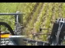Hagie Detasseling Corn with Tactile Guided Steering - No GPS Hagie Detasseling Corn with Tactile Guided Steering - No GPS