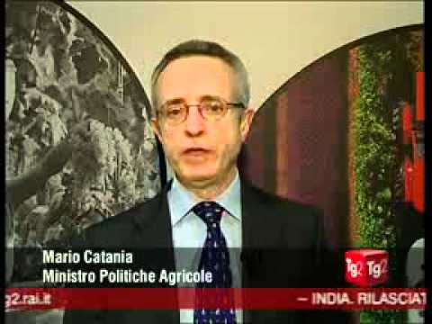 Guarda il video