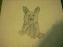 Re: Webkinz Coloring Contest! Ends:10/20/08
