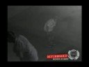 Furby - berrics remix. Furby - berrics remix.