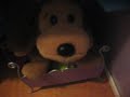 beanie babie movie