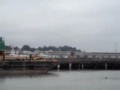 Sea Lions at Fishermans Wharf Sea Lions at Fishermans Wharf