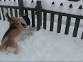 Shiloh and Shelby Montage to Nathan Wills Music