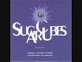 The Sugarcubes - Top Of The World (Carpenters Cover) The Sugarcubes - Top Of The World (Carpenters Cover)